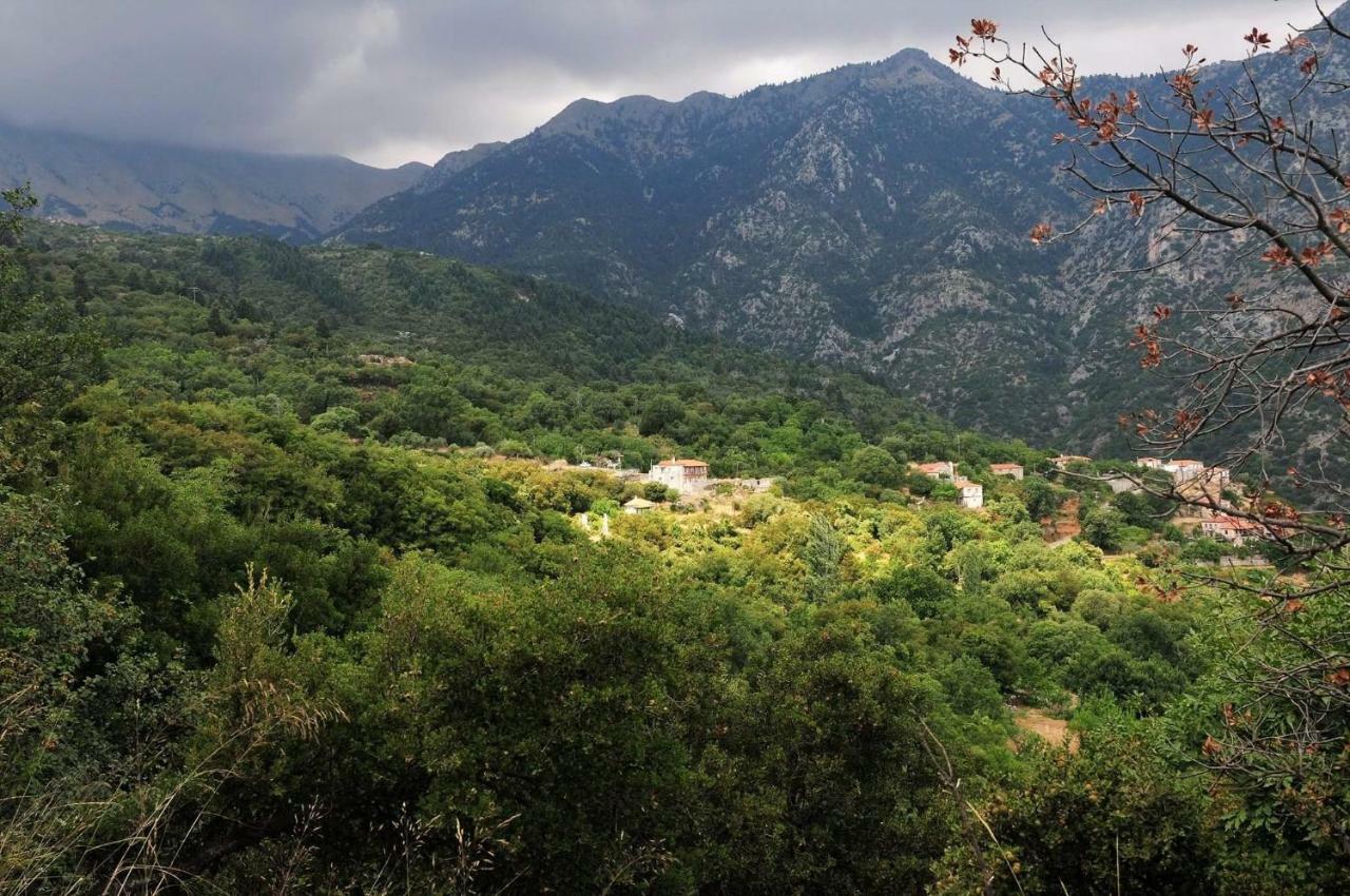 Arxontiko Taygeti Hotel Mystras Bagian luar foto
